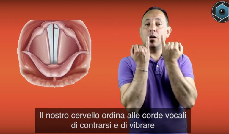 Corde vocali/Voce